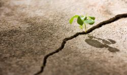 Cracked Asphalt Repair in New Jersey, NJ